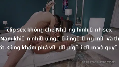 clip sex không che Những hình ảnh sex gái sinh viên Việt Nam khiến nhiều người ngưỡng mộ và thèm khát. Cùng khám phá vẻ đẹp gợi cảm và quyến rũ của những cô gái trẻ này.